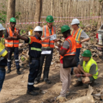 FSC CONFIRMS OUR COMMITMENT TO SUSTAINABLE FORESTRY