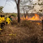 ICFMP BEARS FRUIT IN THE 2023-2024 FIRE SEASON