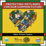 World Wetlands Day