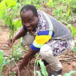 Form Ghana's people on the move