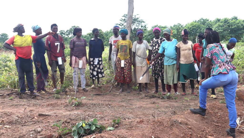 Form Ghana supports the UN’s International Year of the Woman Farmer